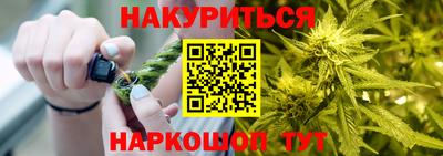 крисы Будённовск