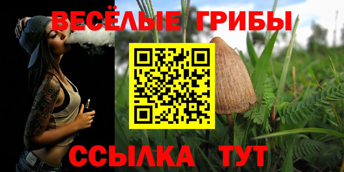 Псилоцибиновые грибы мухоморы Шуя
