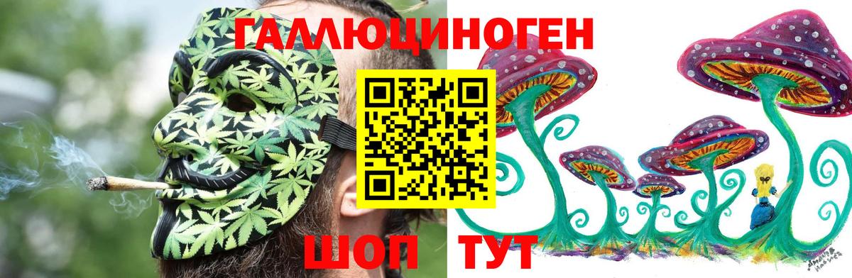Галлюциногенные грибы Cubensis  Галлюциногенные грибы мицелий  Шуя  Вход с VPN 